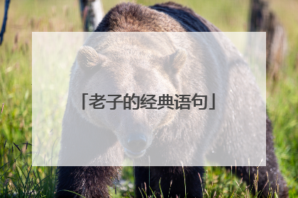 老子的经典语句