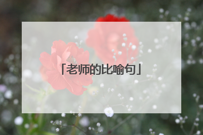 老师的比喻句