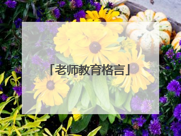 老师教育格言