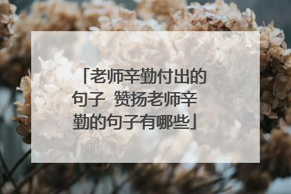 老师辛勤付出的句子 赞扬老师辛勤的句子有哪些