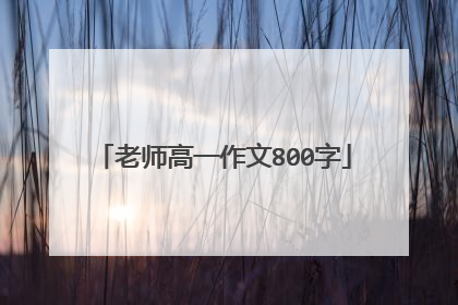 老师高一作文800字
