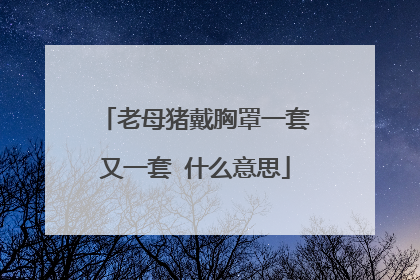 老母猪戴胸罩一套又一套 什么意思
