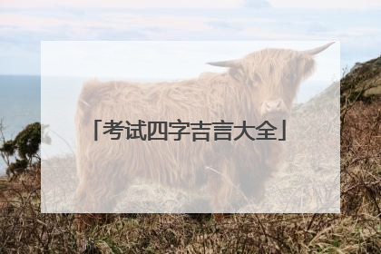考试四字吉言大全