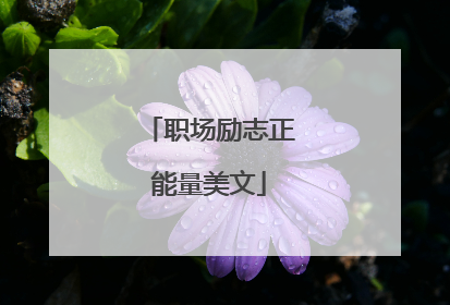 职场励志正能量美文