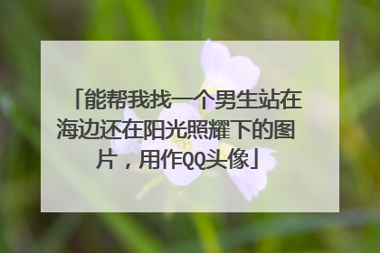 能帮我找一个男生站在海边还在阳光照耀下的图片,用作QQ头像