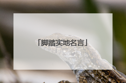 脚踏实地名言