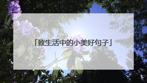 致生活中的小美好句子