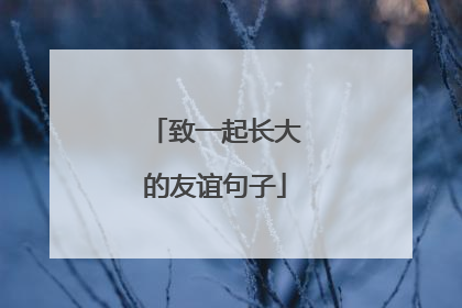 致一起长大的友谊句子