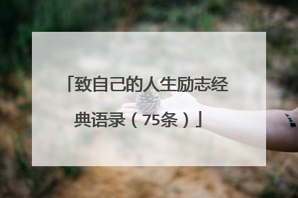 致自己的人生励志经典语录(75条)
