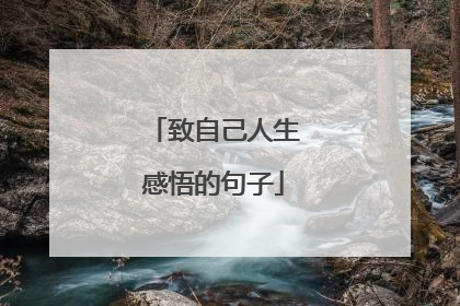 致自己人生感悟的句子