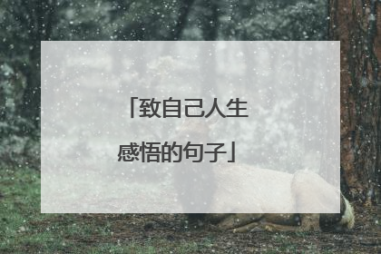 致自己人生感悟的句子