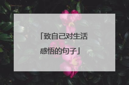 致自己对生活感悟的句子