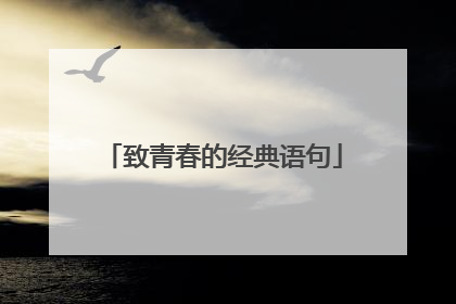 致青春的经典语句