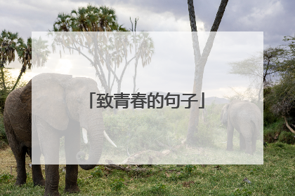 致青春的句子