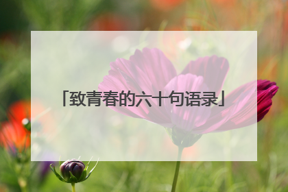致青春的六十句语录