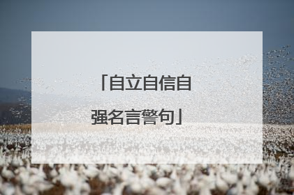 自立自信自强名言警句