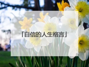 自信的人生格言