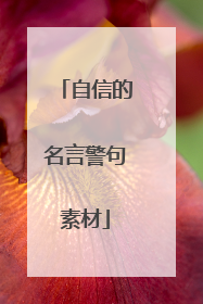 自信的名言警句素材