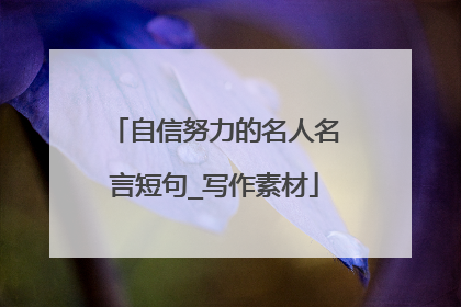 自信努力的名人名言短句_写作素材