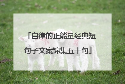 自律的正能量经典短句子文案锦集五十句