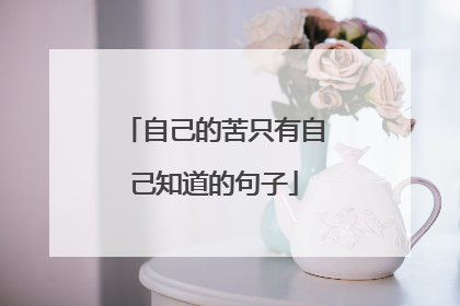 自己的苦只有自己知道的句子