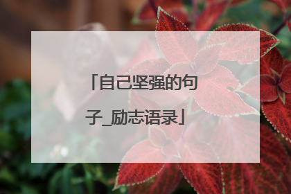 自己坚强的句子_励志语录