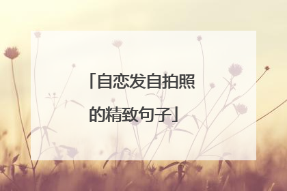 自恋发自拍照的精致句子