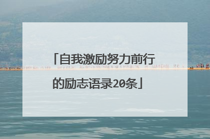 自我激励努力前行的励志语录20条