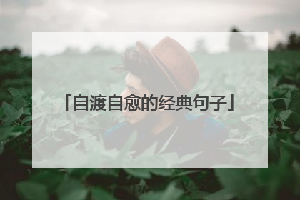 自渡自愈的经典句子