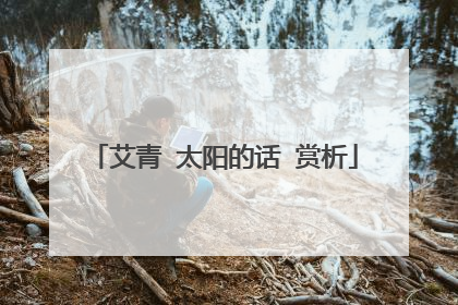 艾青 太阳的话 赏析