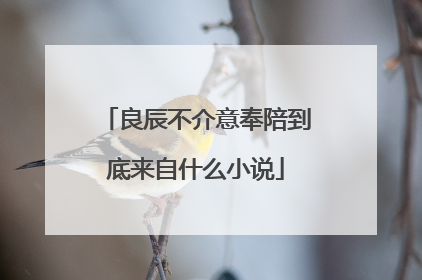 良辰不介意奉陪到底来自什么小说