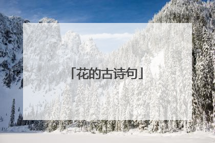 花的古诗句