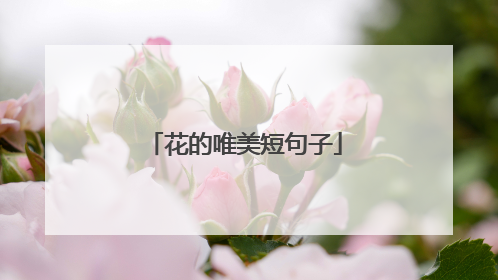 花的唯美短句子