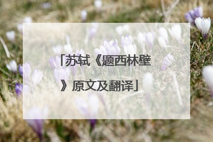 苏轼《题西林壁》原文及翻译