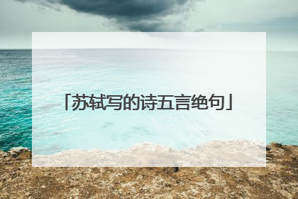 苏轼写的诗五言绝句