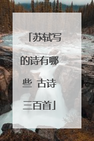 苏轼写的诗有哪些 古诗三百首