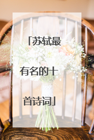 苏轼最有名的十首诗词
