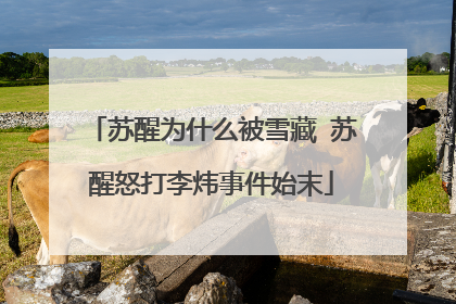 苏醒为什么被雪藏 苏醒怒打李炜事件始末