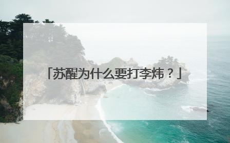 苏醒为什么要打李炜?