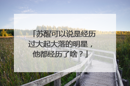 苏醒可以说是经历过大起大落的明星,他都经历了啥?