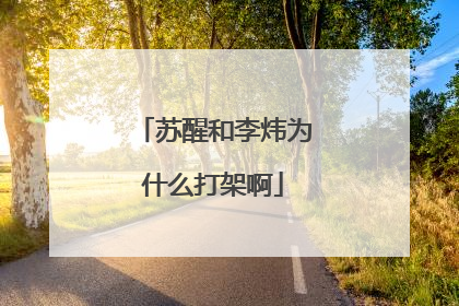 苏醒和李炜为什么打架啊