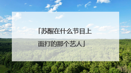 苏醒在什么节目上面打的那个艺人