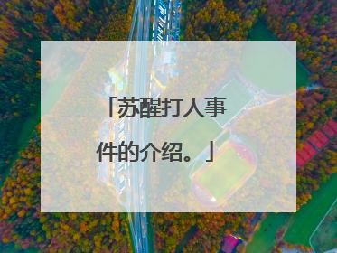 苏醒打人事件的介绍。