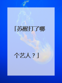 苏醒打了哪个艺人？