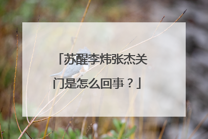 苏醒李炜张杰关门是怎么回事?