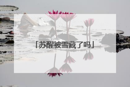 苏醒被雪藏了吗
