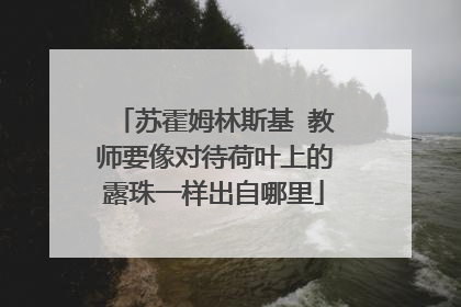 苏霍姆林斯基 教师要像对待荷叶上的露珠一样出自哪里