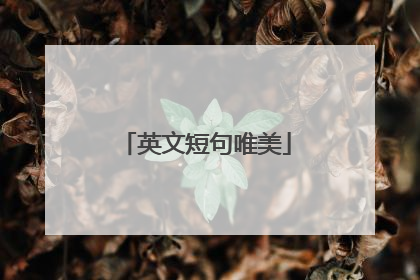 英文短句唯美