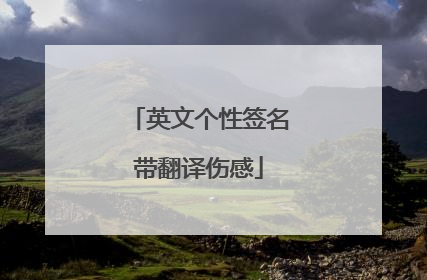 英文个性签名带翻译伤感