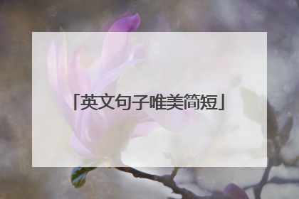 英文句子唯美简短